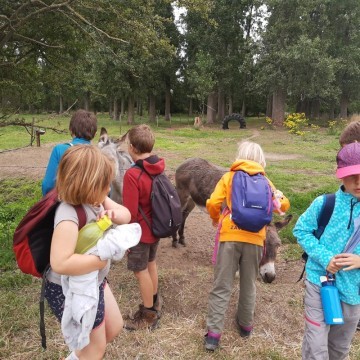 IMG 20200724 103632623 min - Scouts en Gidsen Zaventem 